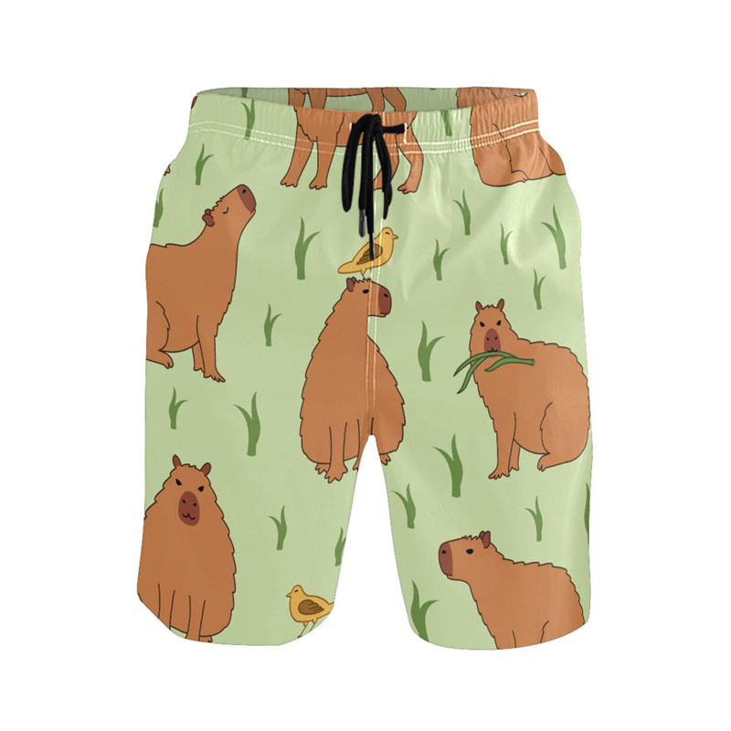 Cartoon Animal 3d Print Capyba – Trunks Board Surf Bewertung und Preis